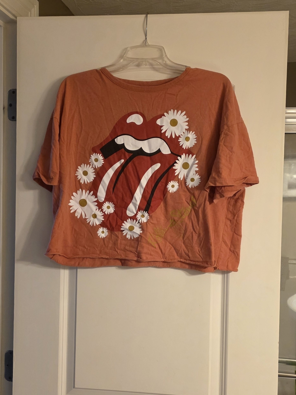 Rolling Stones Crop Top